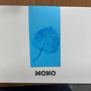 Mono